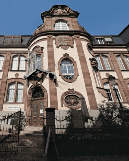 Biennale für Freiburg 3