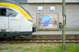 Biennale für Freiburg 3