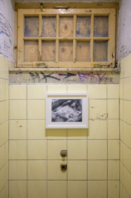 Biennale für Freiburg 3