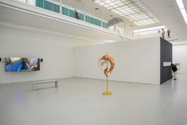 Biennale für Freiburg 3