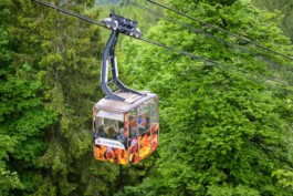 Biennale für Freiburg 3