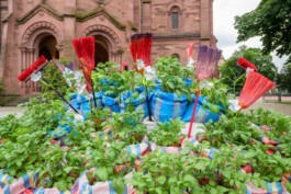 Biennale für Freiburg 3