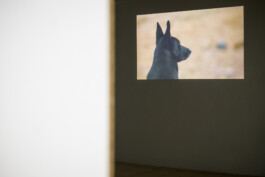 Biennale für Freiburg 3