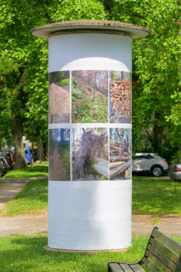 Biennale für Freiburg 3