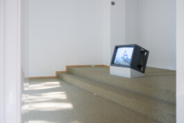 Biennale für Freiburg 3